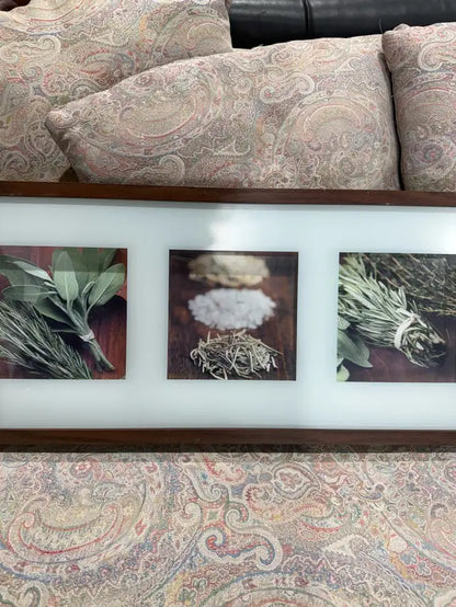 Framed Herb Prints