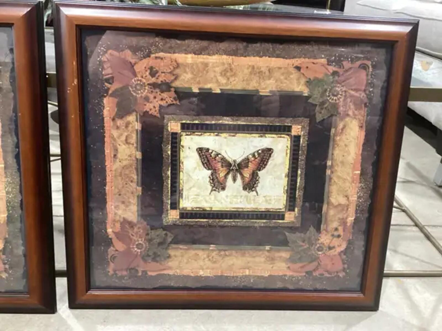 Framed Bug Wall Art - Butterfly and Dragonfly Available