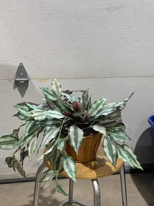 Artificial Inch Plant
