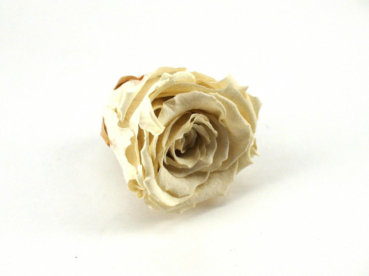 RD Eternal Roses Box Of 16 White Roses - Rose Deluxe, Pre-Owned