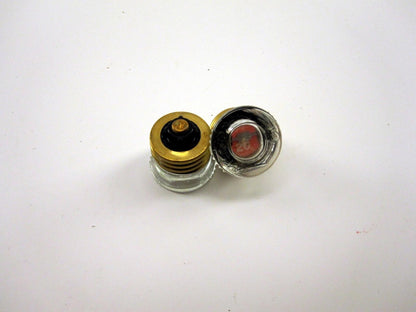 Set of 2 20A Plug Fuse