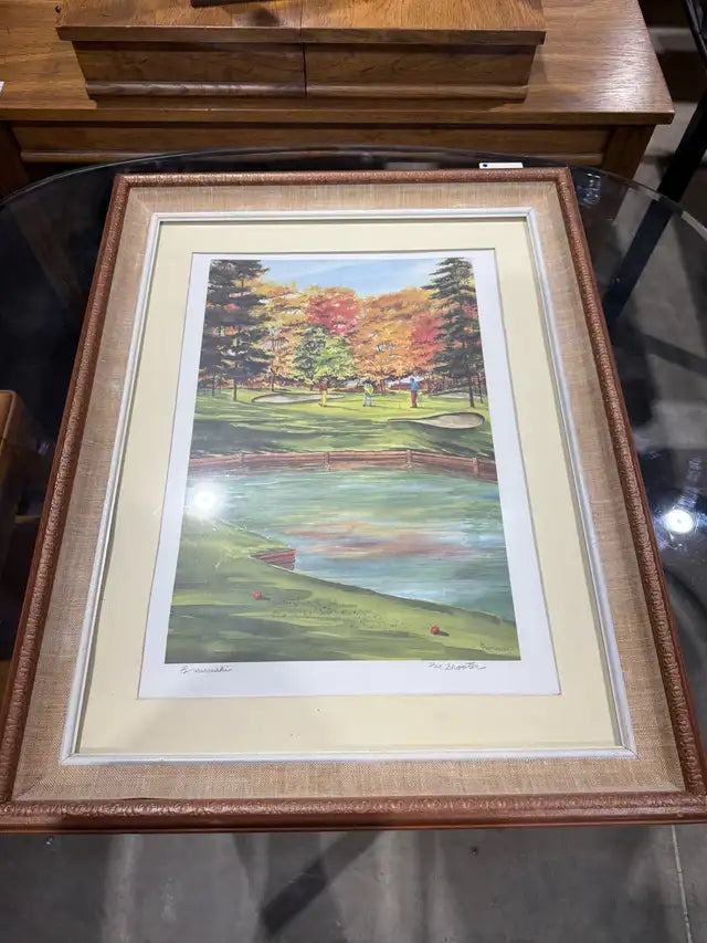 Par Shooter Framed Print