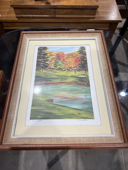 Par Shooter Framed Print