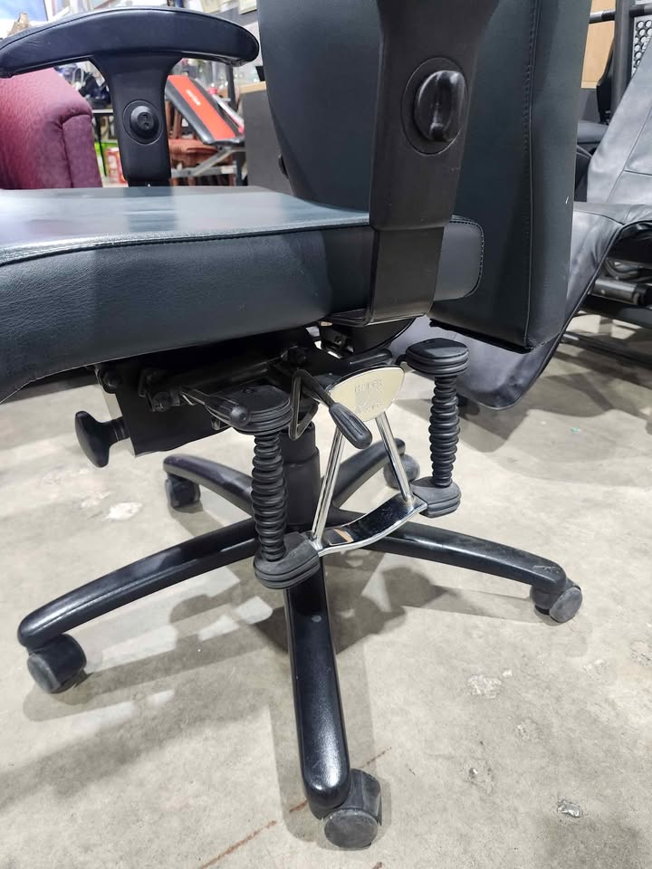 Haider Bioswing 560 iQ Ergonomic Office Chair