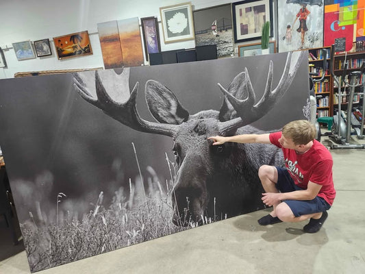 Giant Moose Canvas Wall Art - Black & White