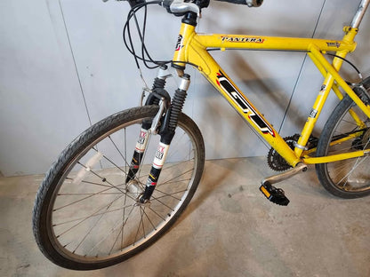 GT Pantera Mountain Bike 90s