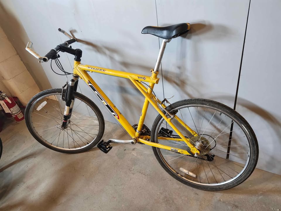 GT Pantera Mountain Bike 90s