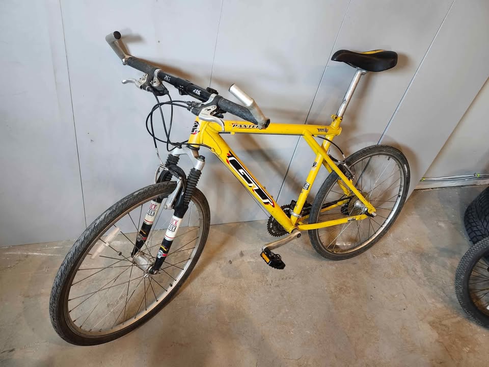 GT Pantera Mountain Bike 90s