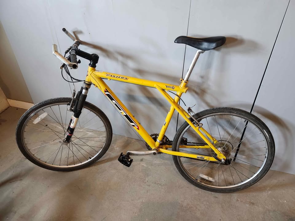 GT Pantera Mountain Bike 90s