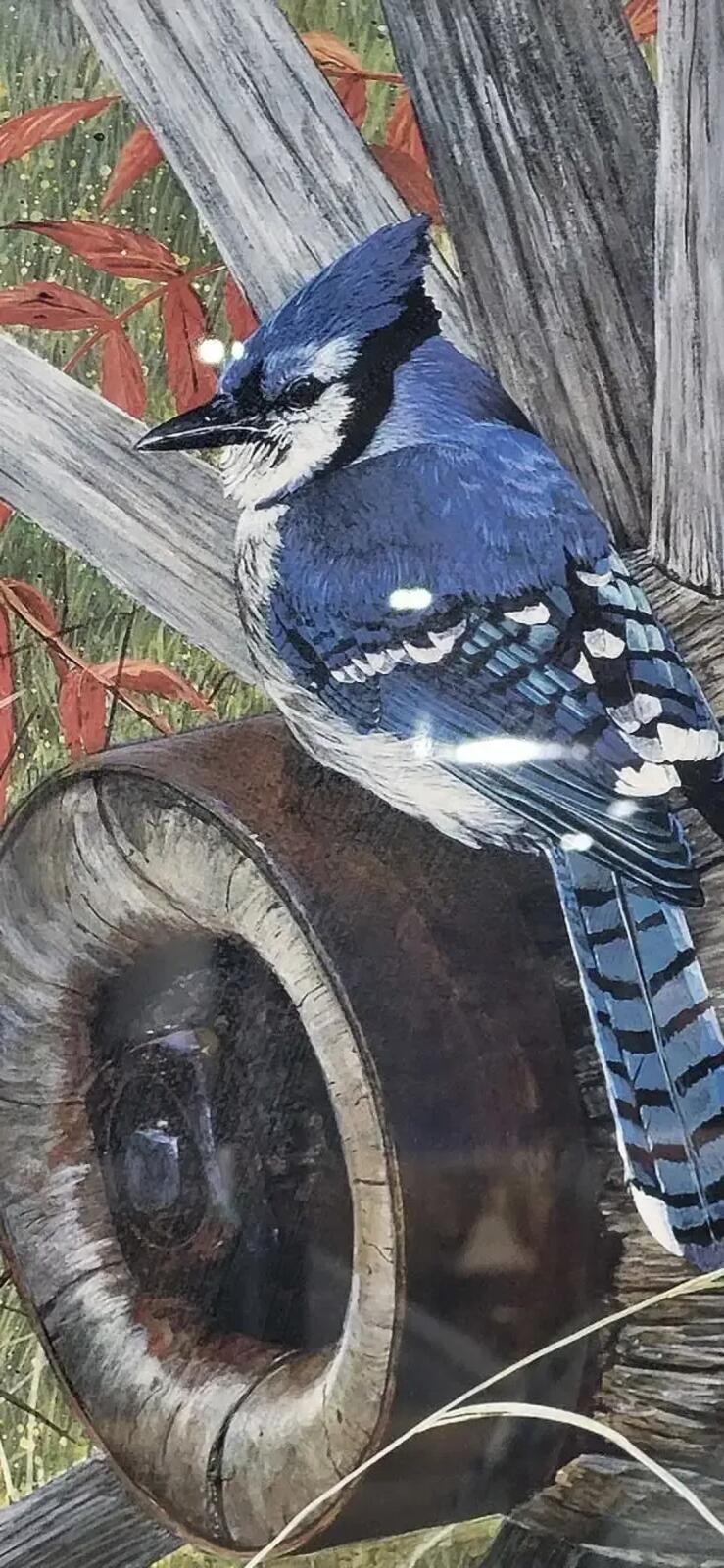 Blue Jay Art Print with Rustic Frame