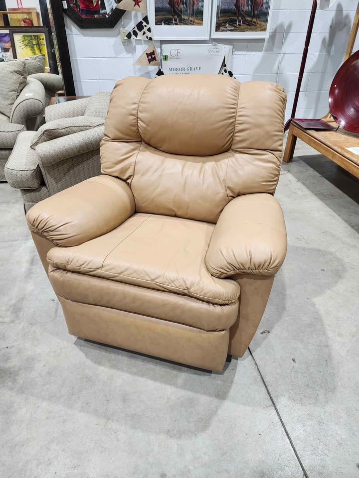 Palliser 'Move In Style' Faux Leather Recliner