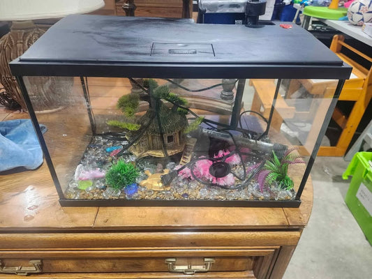 10 Gallon Fish Tank with Accessories