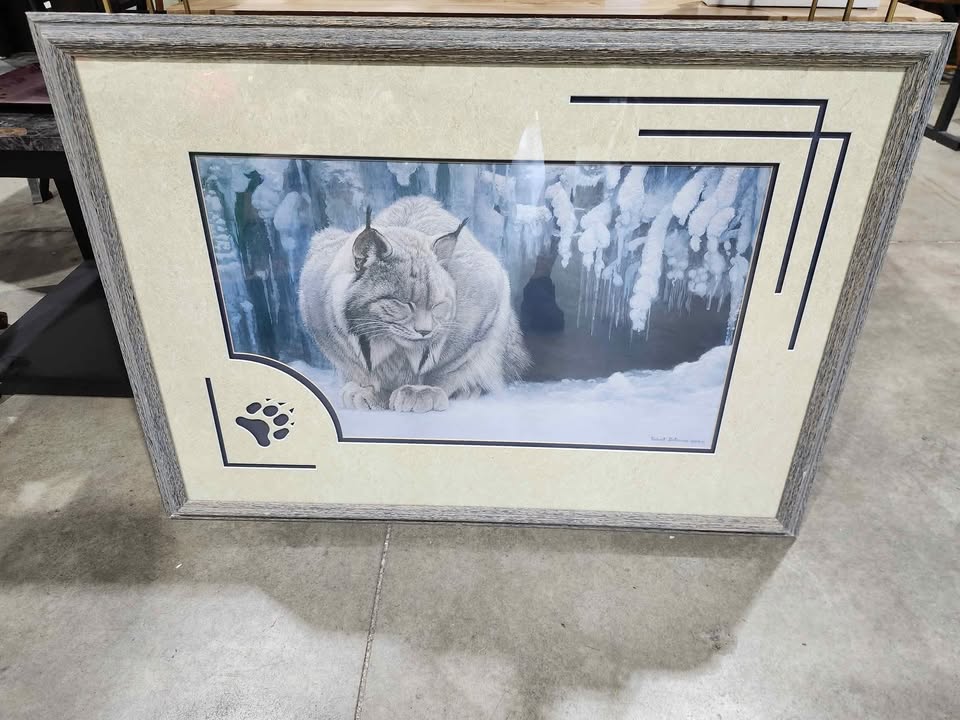 Robert Bateman Dozing Lynx Framed Print