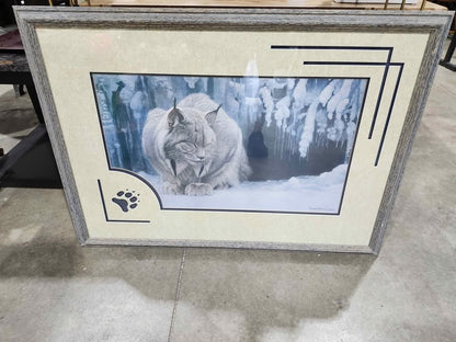 Robert Bateman Dozing Lynx Framed Print