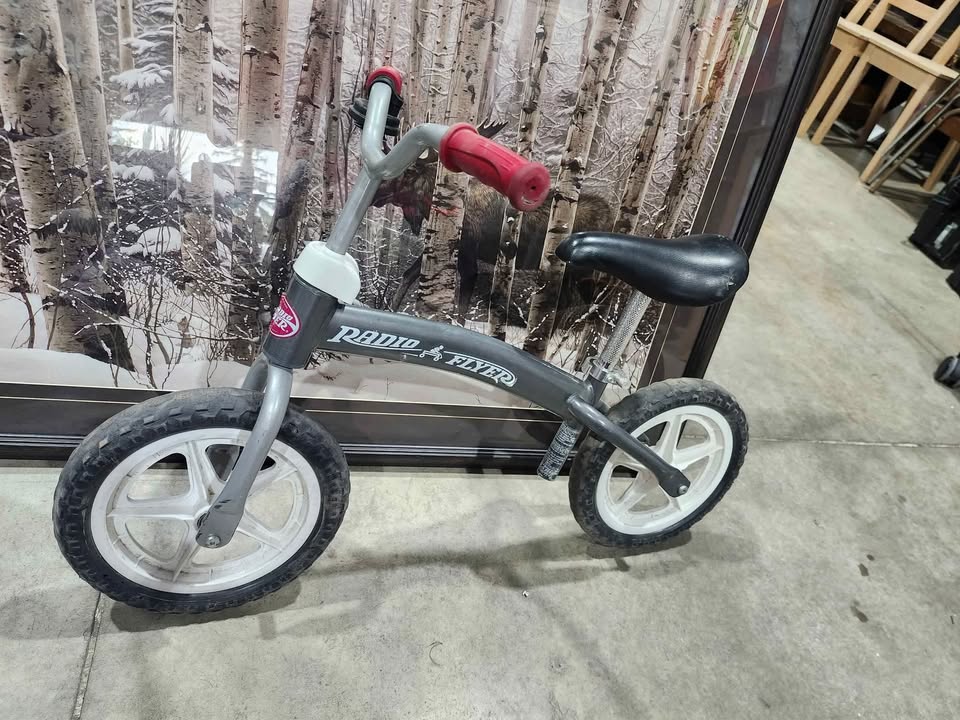 Radio Flyer Glide & Go Balance Bike