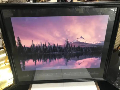 Nature's Wonders Framed 32 x 27 Print