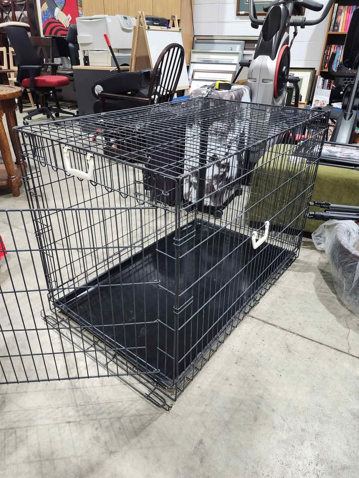 Large Black Wire Dog Crate