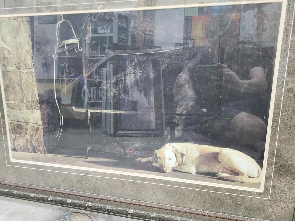 Ides of March by Andrew Wyeth - Dog Art Print Fireplace