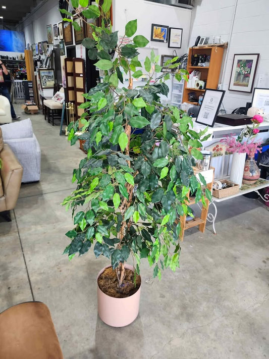 Artificial Ficus Tree in Pink Pot - 6ft