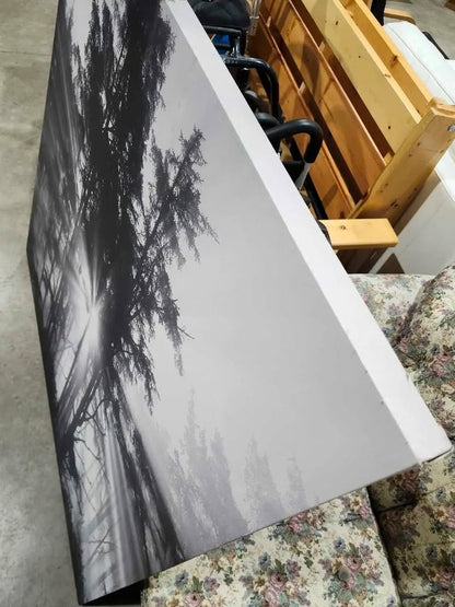 Black & White Forest Canvas Print - 4ft