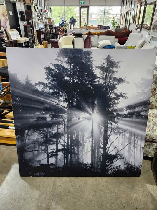 Black & White Forest Canvas Print - 4ft