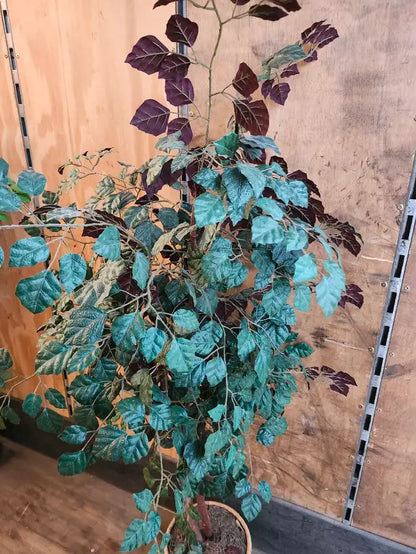 Artificial Tree - 6ft