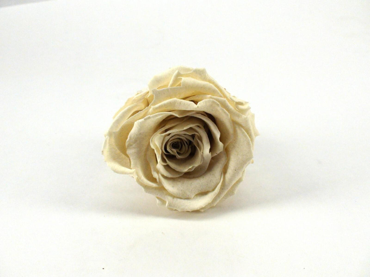 RD Eternal Roses Box Of 16 White Roses - Rose Deluxe, Pre-Owned
