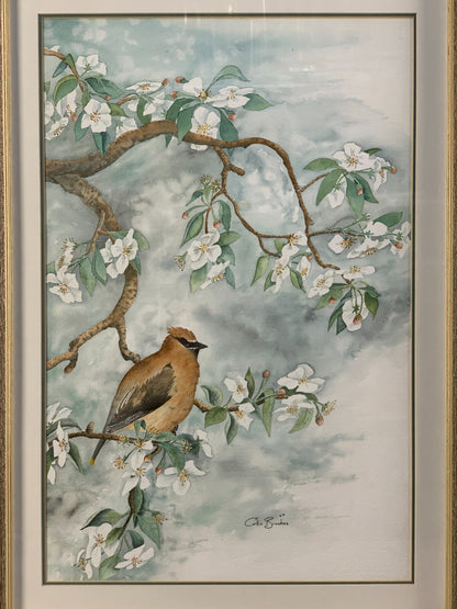 Tranquil Cedar waxwing Wall Art By Cofin Brookes