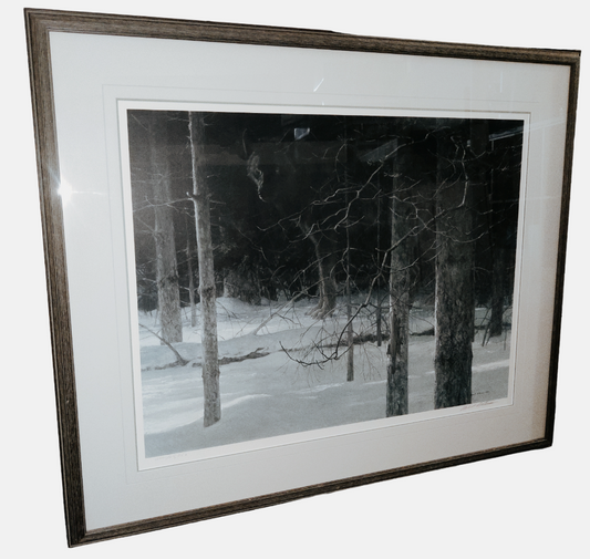 Robert Bateman "Midnight - Black Wolf" Large Print 2001/25352 Signed and Framed