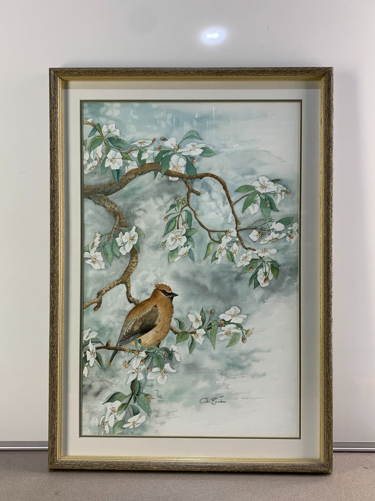 Tranquil Cedar waxwing Wall Art By Cofin Brookes