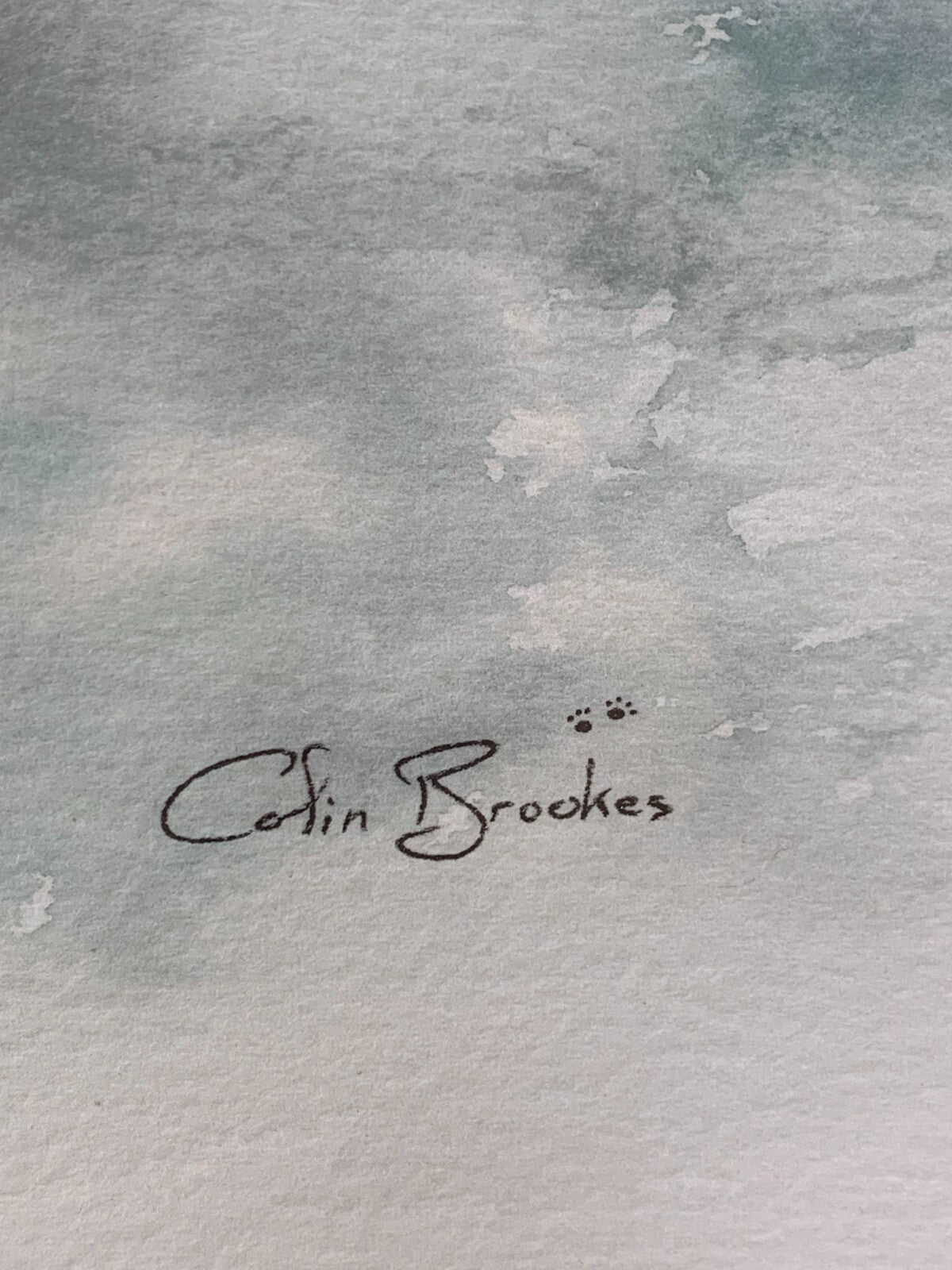 Tranquil Cedar waxwing Wall Art By Cofin Brookes