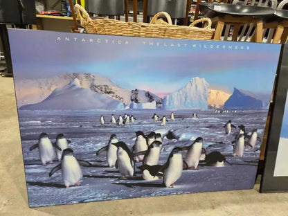 Polar Bear and Penguin Wooden Wall Art