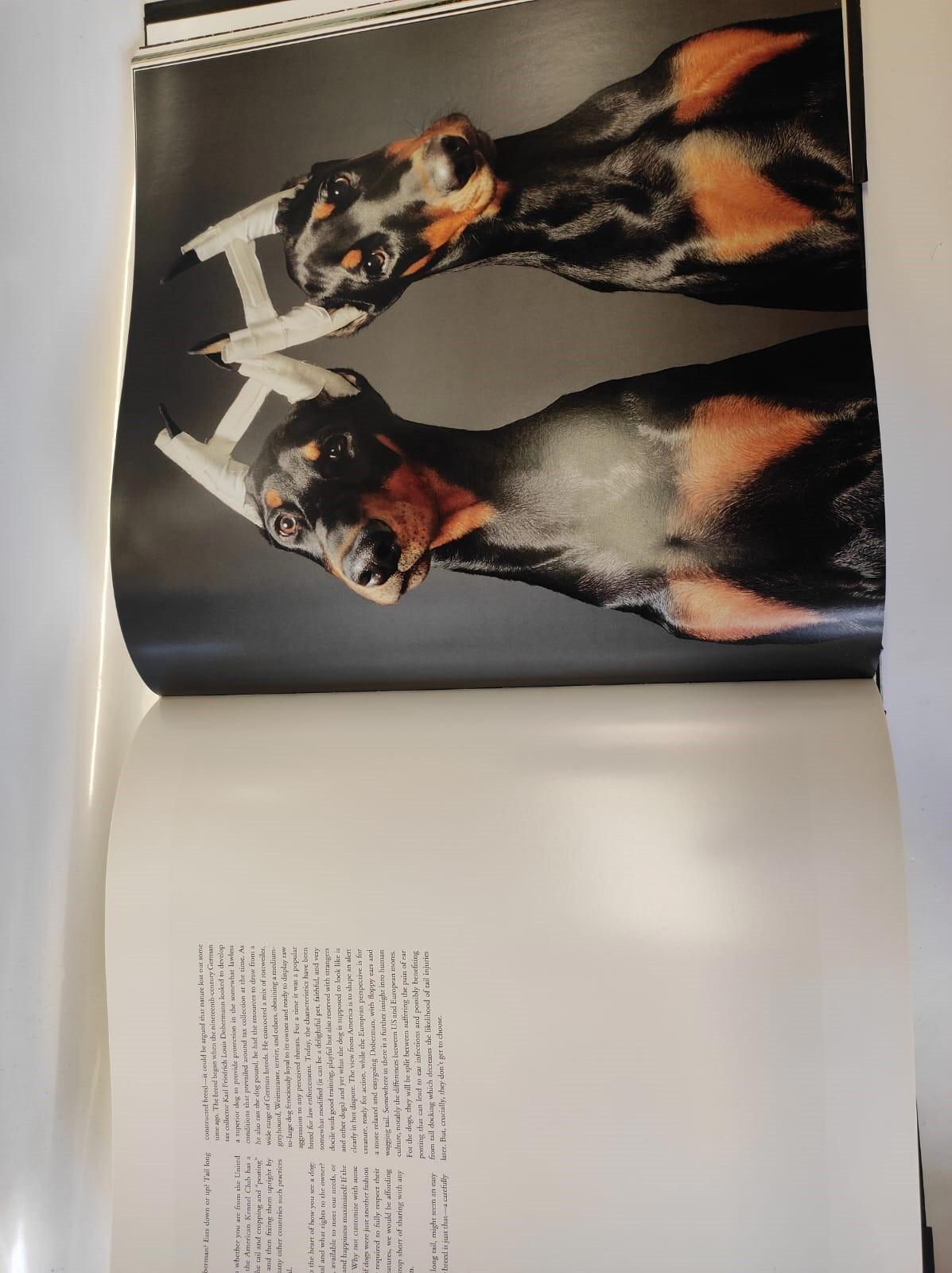 Tim Flach, Lewis Blackwell DOGS  1st Edition 4th Printing