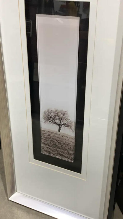 Abstract and Photography Framed Art - set of 2