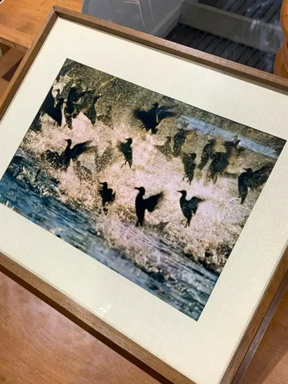Skyward by Robert Schmitt Framed