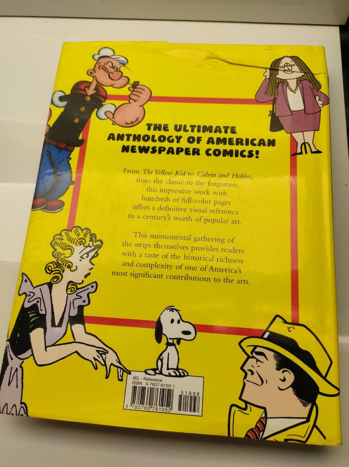 100 YEARS OF COMIC STRIPS By Dale And James Vance Crain - Hardcover