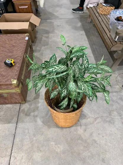 Potted Fake Plant with Wicker Pot