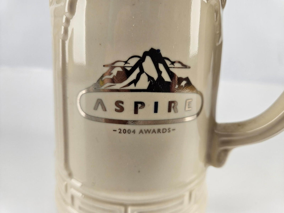 2004 Aspire Awards 9.5" Beer Stein Tankard