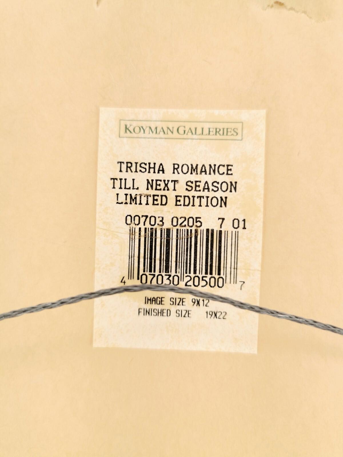 Till next season by Trisha Romance 2160/4000