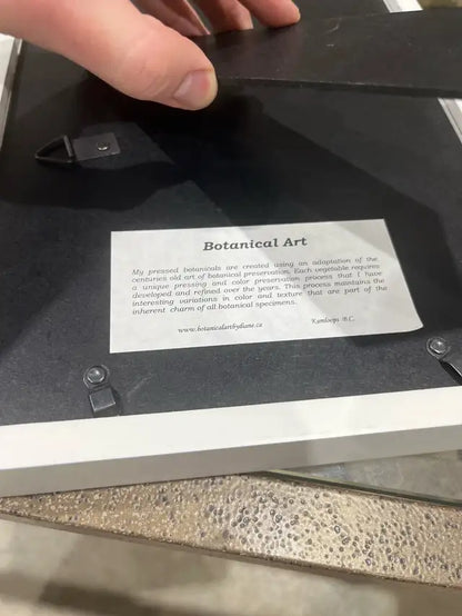 Vintage botanical art