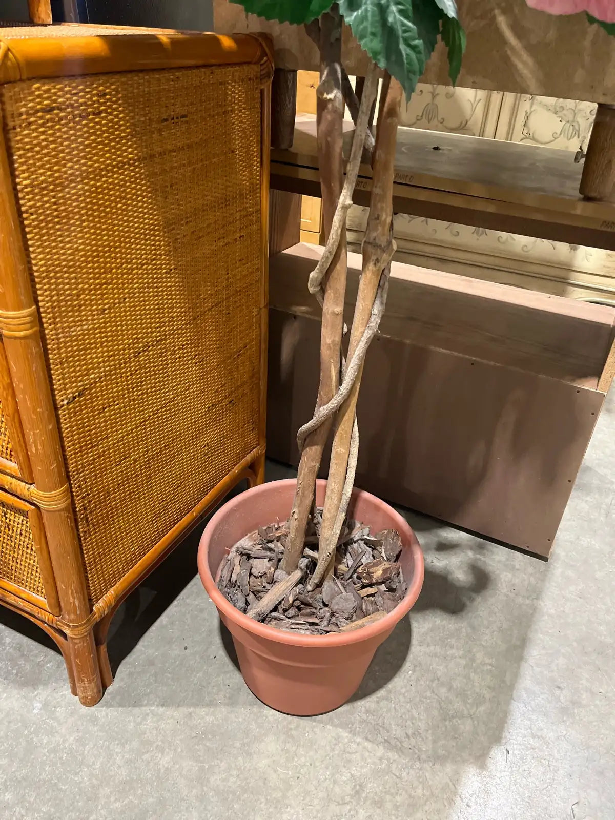 Artificial Hibiscus Tree 63”