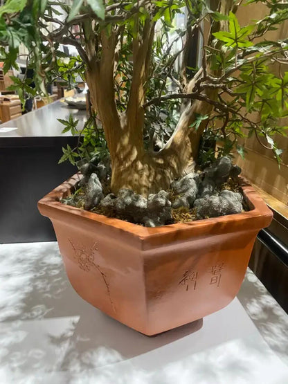 Bonsai Tree Fake Plant