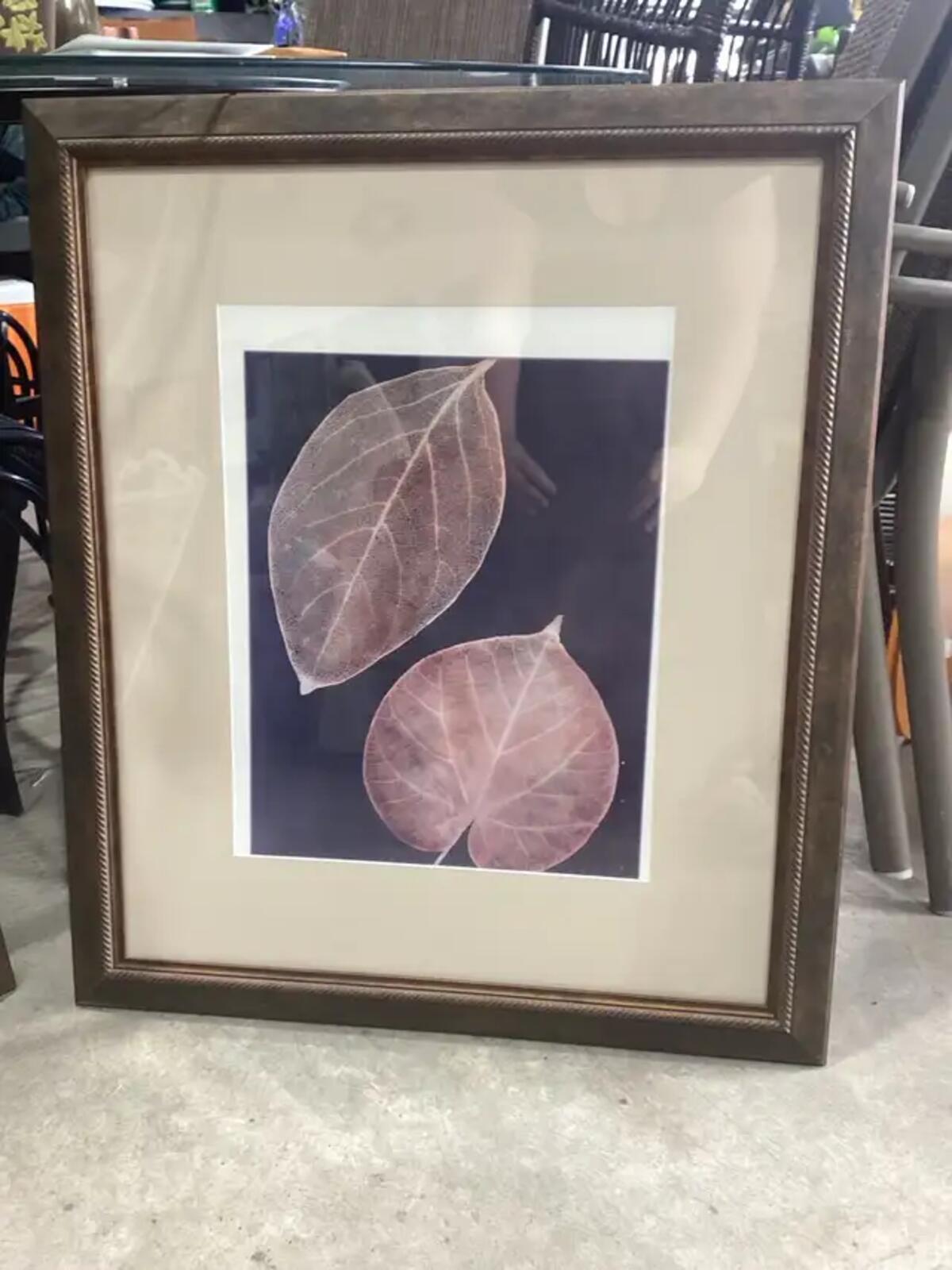 Framed Leaf Wall Art - Julie Greenwood - 2 Available