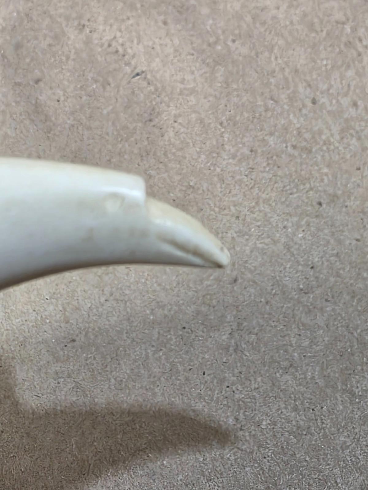 Antique 1800s Scrimshaw Carved teeth  - Penguin Sculpture