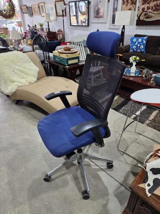 Ergonomic Task Office Chair with Mesh Back