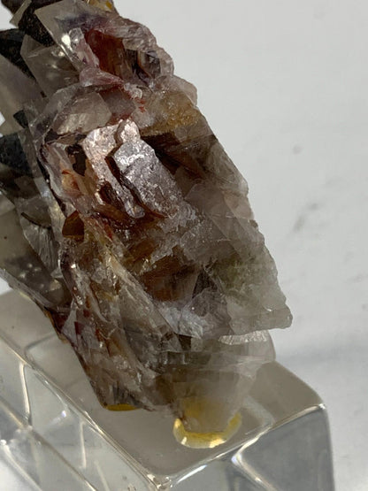 Mariposa Calcite Crystals Specimen Phantom Butterfly Hematite Brown