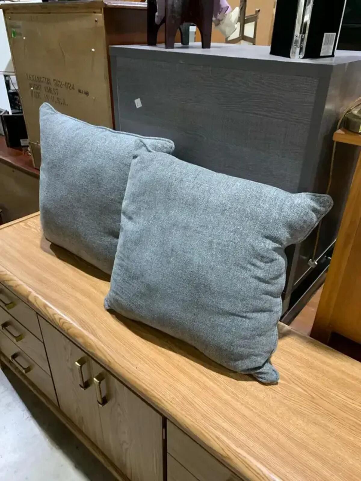 Set of Two Grey Decorative Pillows 20” x 20”