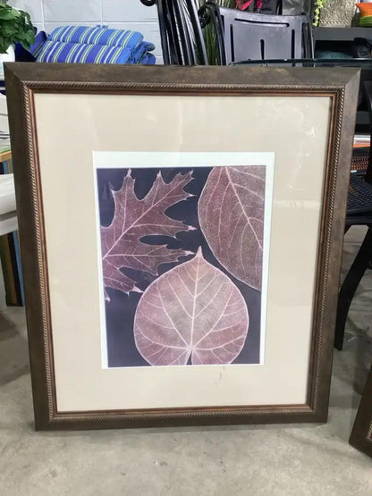 Framed Leaf Wall Art - Julie Greenwood - 2 Available