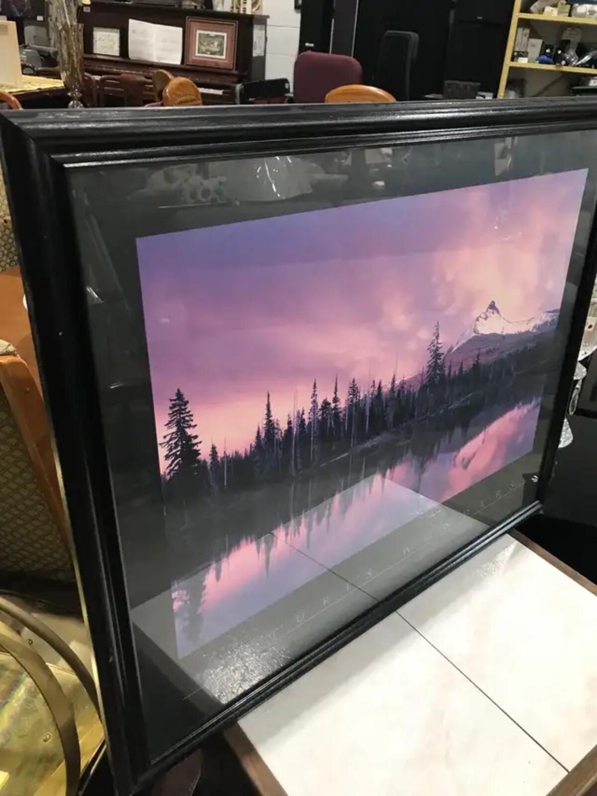 Nature's Wonders Framed 32 x 27 Print