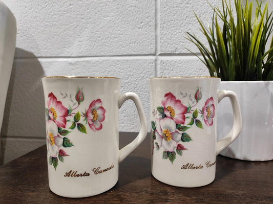 Royal Winton ALBERTA COFFEE CUP MUG Made in Staffordshire, England
